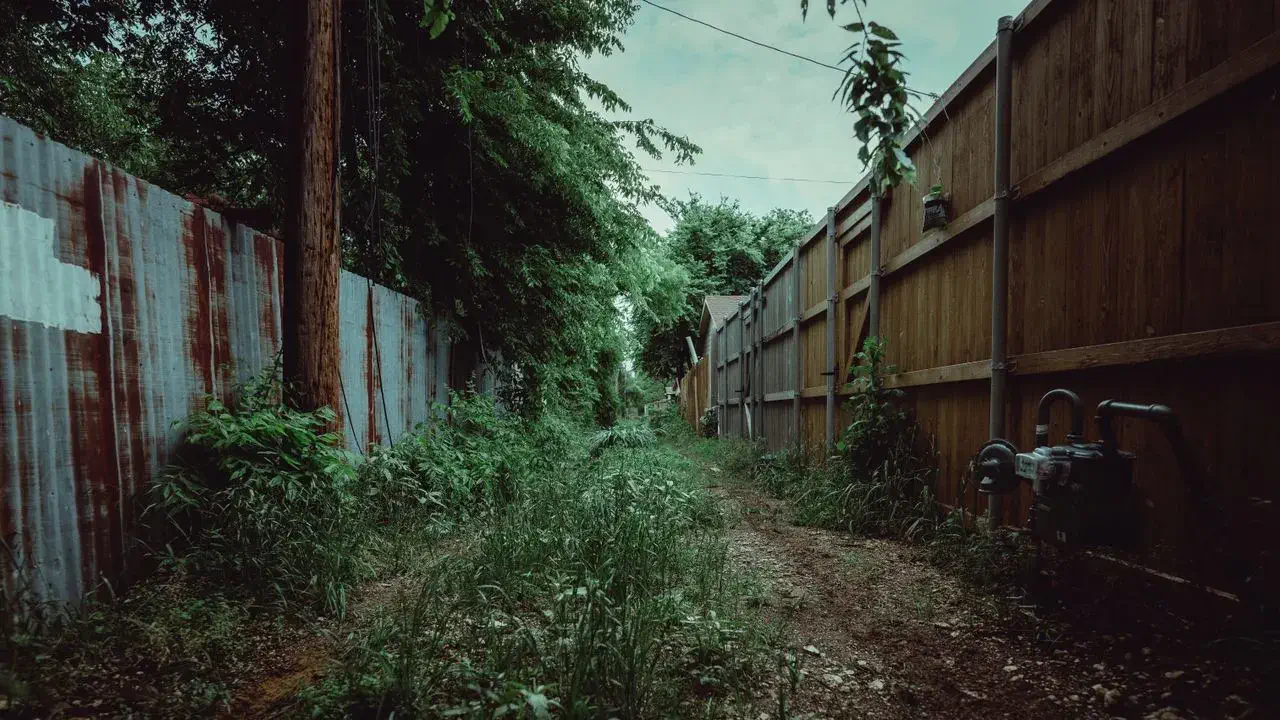 Brush Removal & Overgrown Yard Cleanup in Monmouth & Ocean County NJ